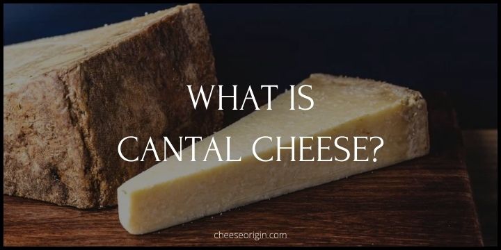 What is Cantal Cheese? The Crown Jewel of French Cuisine - Cheese Origin