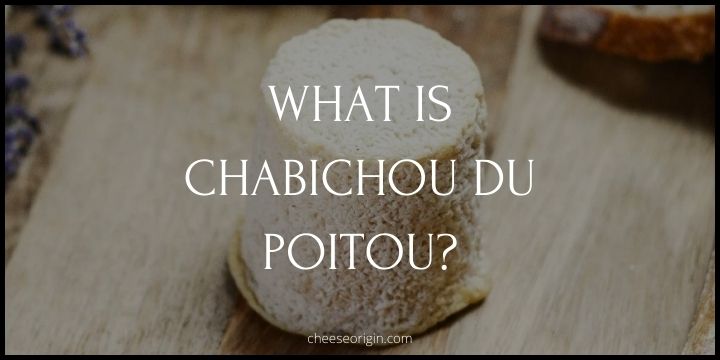 What is Chabichou du Poitou? The Zesty, Grassy Cheese of France - Cheese Origin