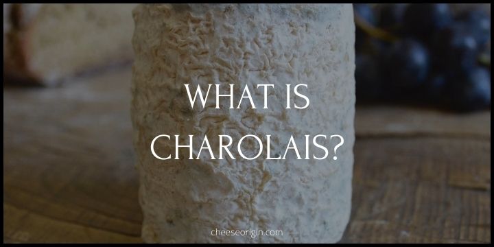 What is Charolais Cheese? A Taste of Bourgogne's Artisanal Delight - Cheese Origin