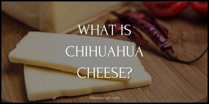 What is Chihuahua Cheese? Mexican Cuisine's Best Kept Secret - Cheese Origin