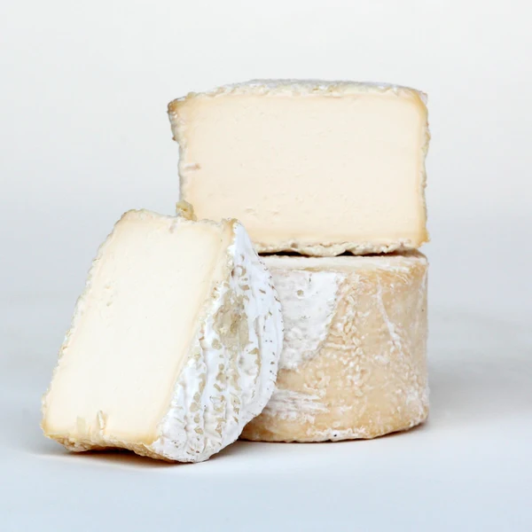 What is Explorateur Cheese?