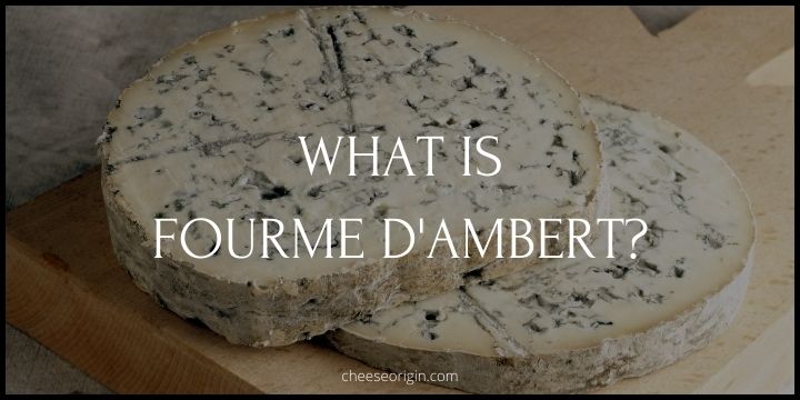 What is Fourme d'Ambert? The Pillar of French Blue Cheeses - Cheese Origin