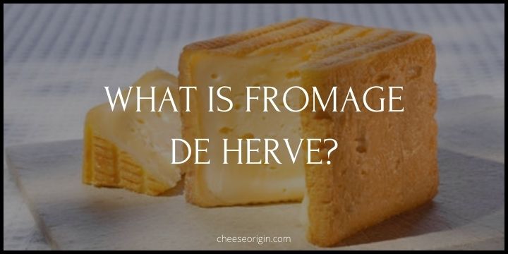 What is Fromage de Herve? Belgium's Soft Cheese Sensation - Cheese Origin