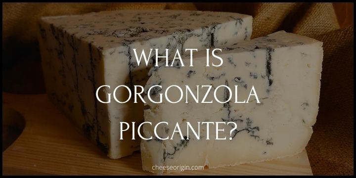 What is Gorgonzola Piccante? Italy's Sharp Blue Cheese Wonder - Cheese Origin