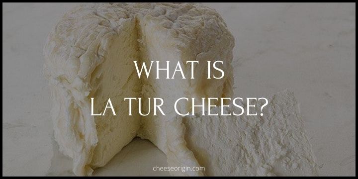 What is La Tur Cheese? The Italian Cheese That Melts Hearts - Cheese Origin
