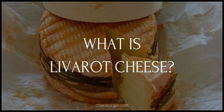 What is Livarot Cheese? The Pungent Delight from Normandy