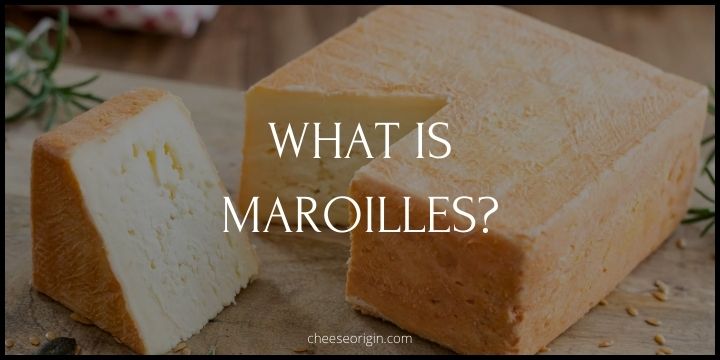 What is Maroilles? A Taste of French Heritage - Cheese Origin