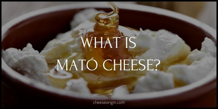 What is Mató Cheese? Catalonia's Sweet, Unsalted Delight - Cheese Origin