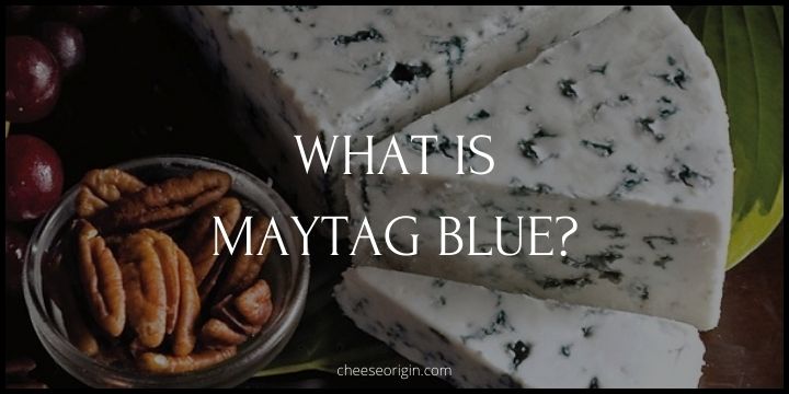 What is Maytag Blue? America's Signature Blue Cheese - Cheese Origin