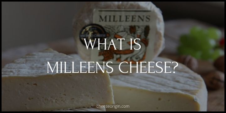 What is Milleens Cheese? The Irish Artisanal Delight - Cheese Origin