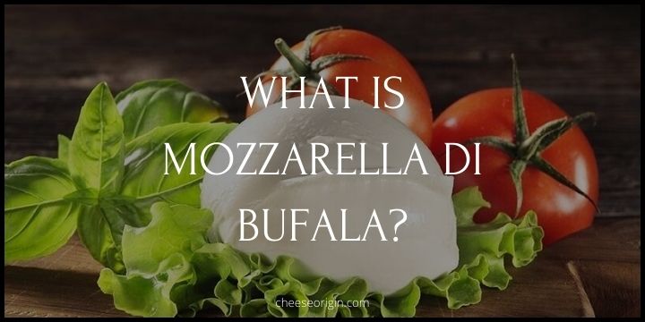 What is Mozzarella di Bufala? Behind the Creaminess - Cheese Origin