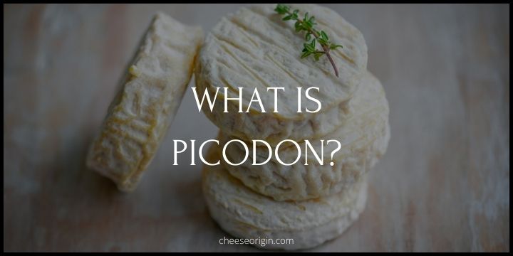 What is Picodon? The Spicy Jewel of Southern France