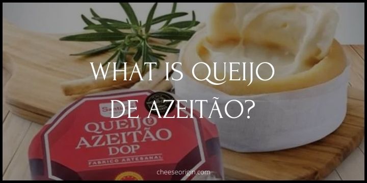 What is Queijo de Azeitão? A Portuguese Delight - Cheese Origin