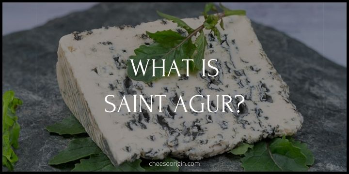 What is Saint Agur? The Creamy Blue Treasure from Auvergne - Cheese Origin