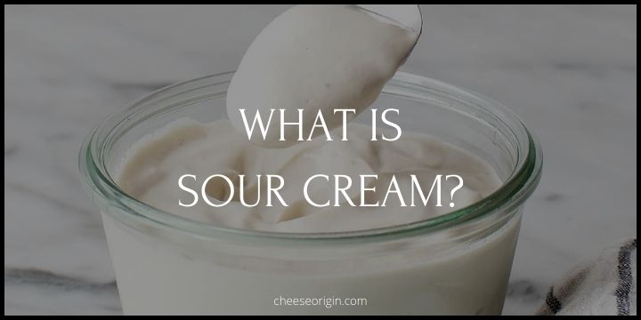 What is Sour Cream? Exploring Its Impact on Our Plates and Palates