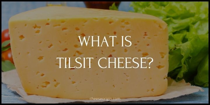 What is Tilsit Cheese? An Age-Old Culinary Secret - Cheese Origin
