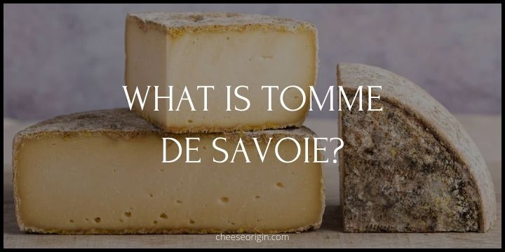 What is Tomme de Savoie? The Quintessential Alpine Cheese