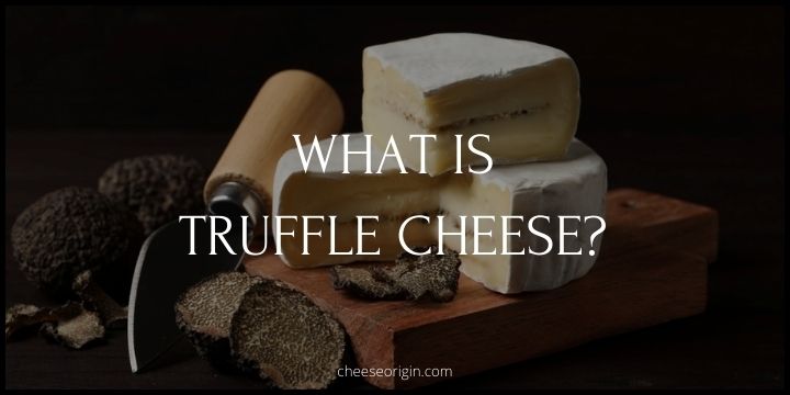What is Truffle Cheese? Savoring the Richness - Cheese Origin