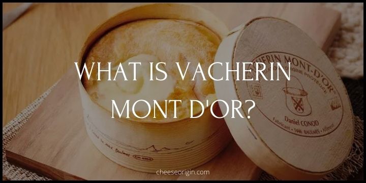 What is Vacherin Mont d'Or? The 'Holy Grail' of Soft Cheeses - Cheese Origin