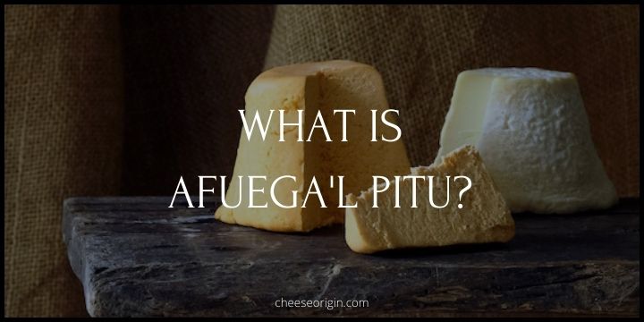 What is Afuega'l Pitu? A Unique Taste of Asturias - Cheese Origin