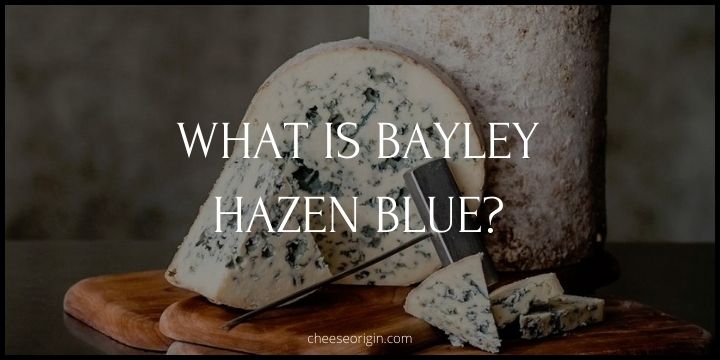 What is Bayley Hazen Blue? Decoding the Delight - Cheese Origin