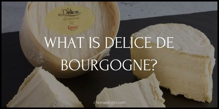 What is Delice de Bourgogne? The Triple Cream Cheese of Your Dreams - Cheese Origin
