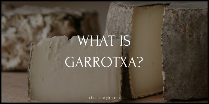 What is Garrotxa? The Velvet Touch of Spanish Cheese