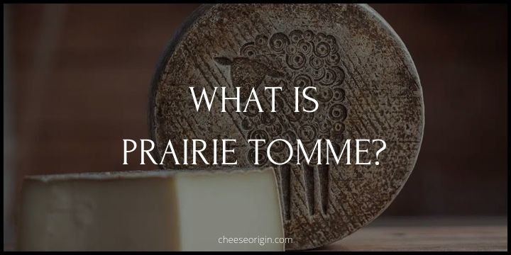 What is Prairie Tomme? A Taste of the Alpine in America's Heartland - Cheese Origin