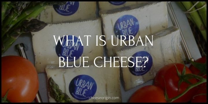 What is Urban Blue Cheese? Canada's Creamy, Nutty Delight - Cheese Origin