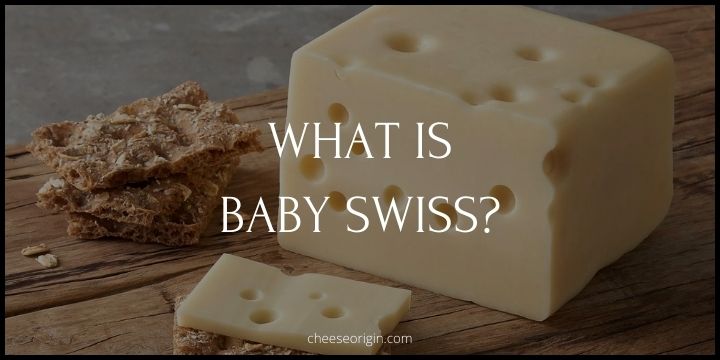 What is Baby Swiss? The Milder Legend from Wisconsin